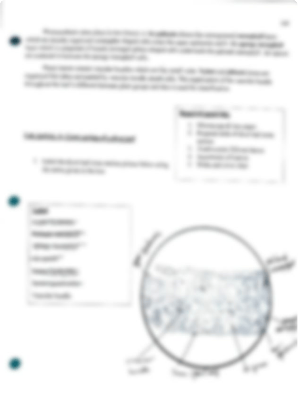 BIOL 003 Lab#8.pdf_dlf5cj1ah8e_page2