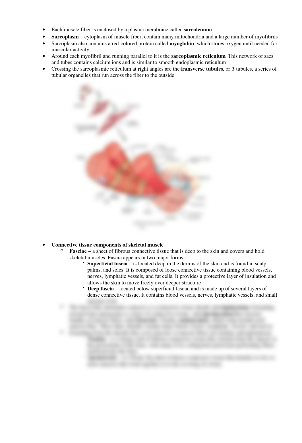 Chapter 10 - Muscular System.pdf_dlfe5ws416w_page2