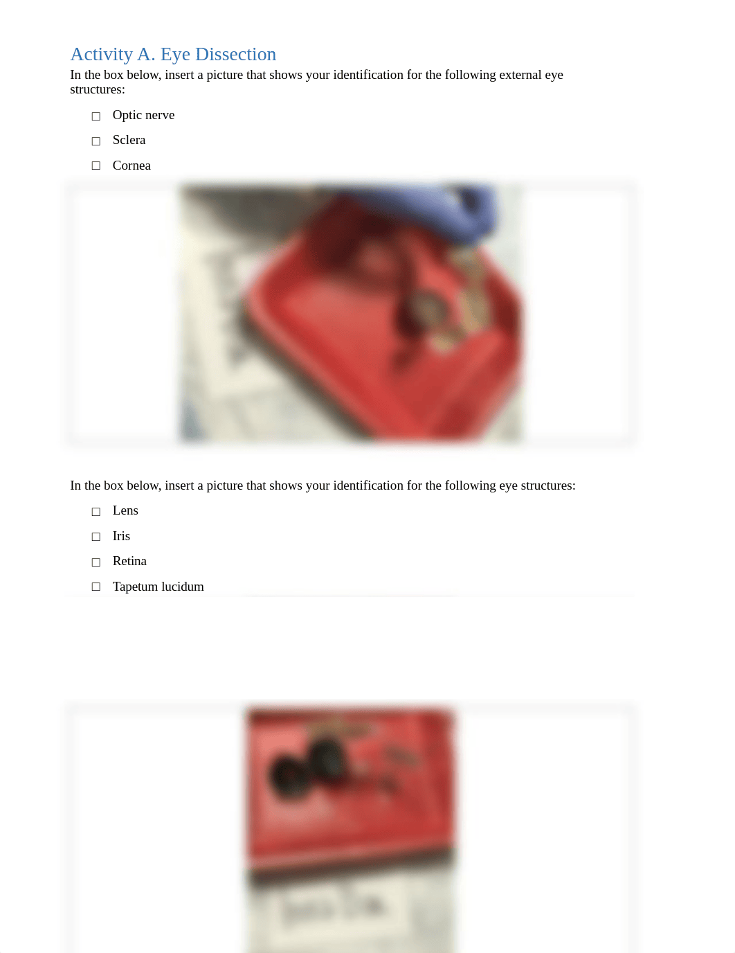 Results Sheet_Eye Dissection.pdf_dlfhk9orwm3_page2