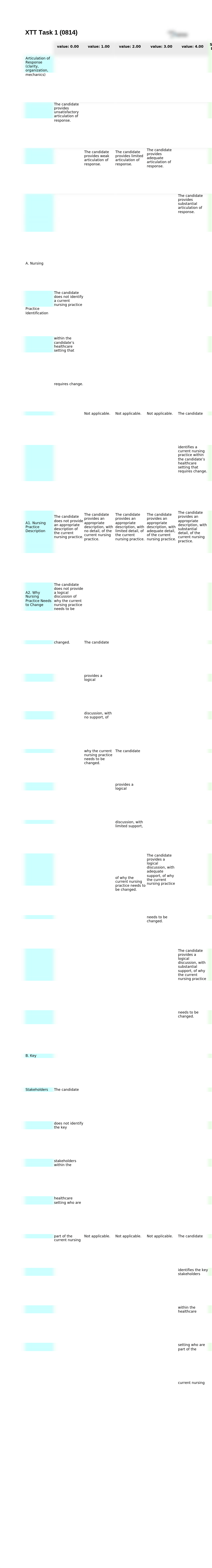 C301 Rubric.doc_dlfj9za7pl8_page1