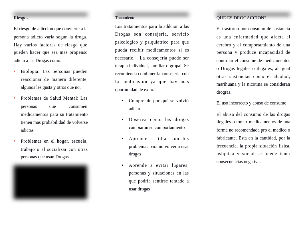 Plan Educativo Brochure NURS4021P.docx_dlfk228nwuo_page2