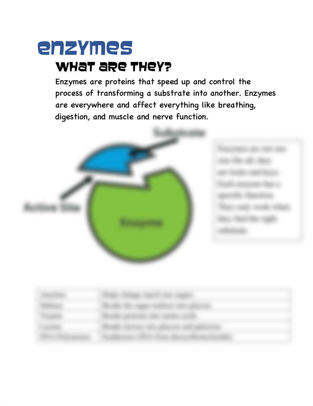 Enzyme fact sheet.pdf_dlfltfl6cfe_page1