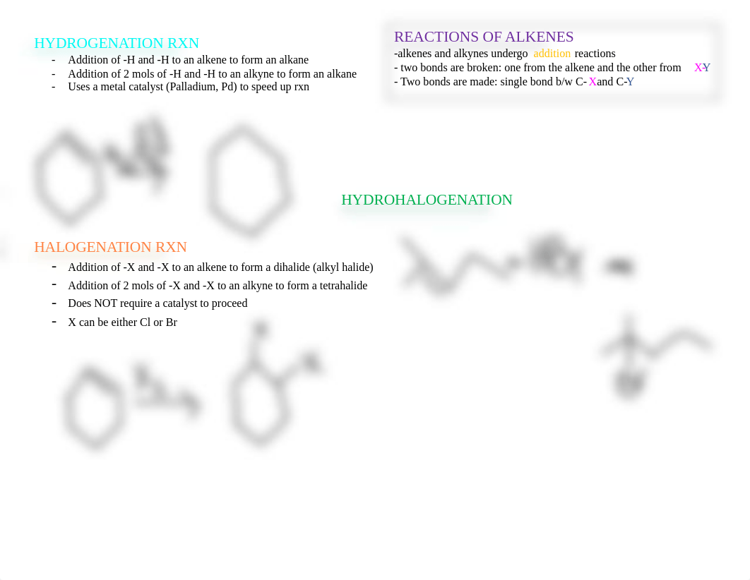 EXAM 1 STUDY GUIDE.docx_dlfm3rzfnd6_page3