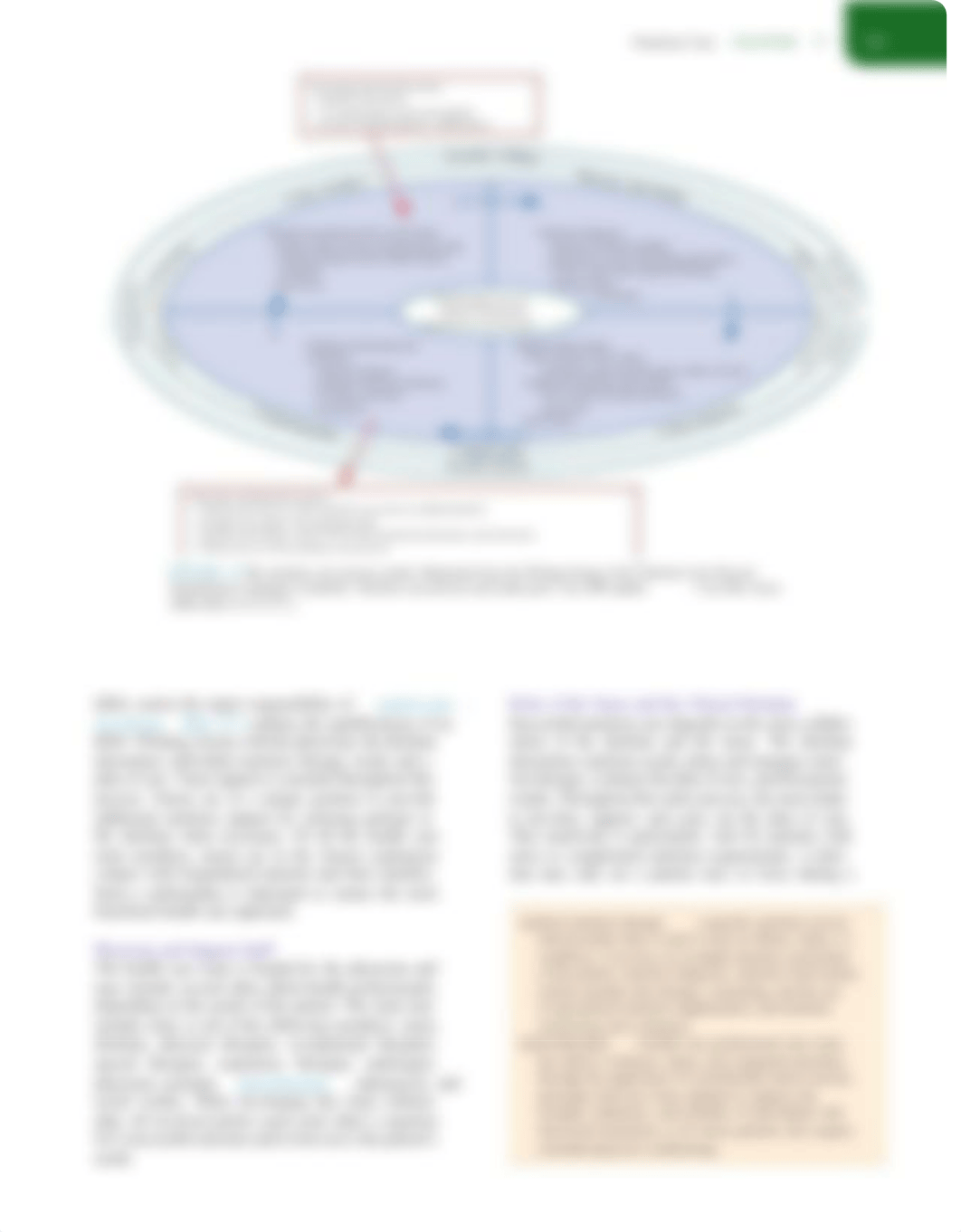 Nutrition Ch.17&18.pdf_dlfmmidxgee_page2