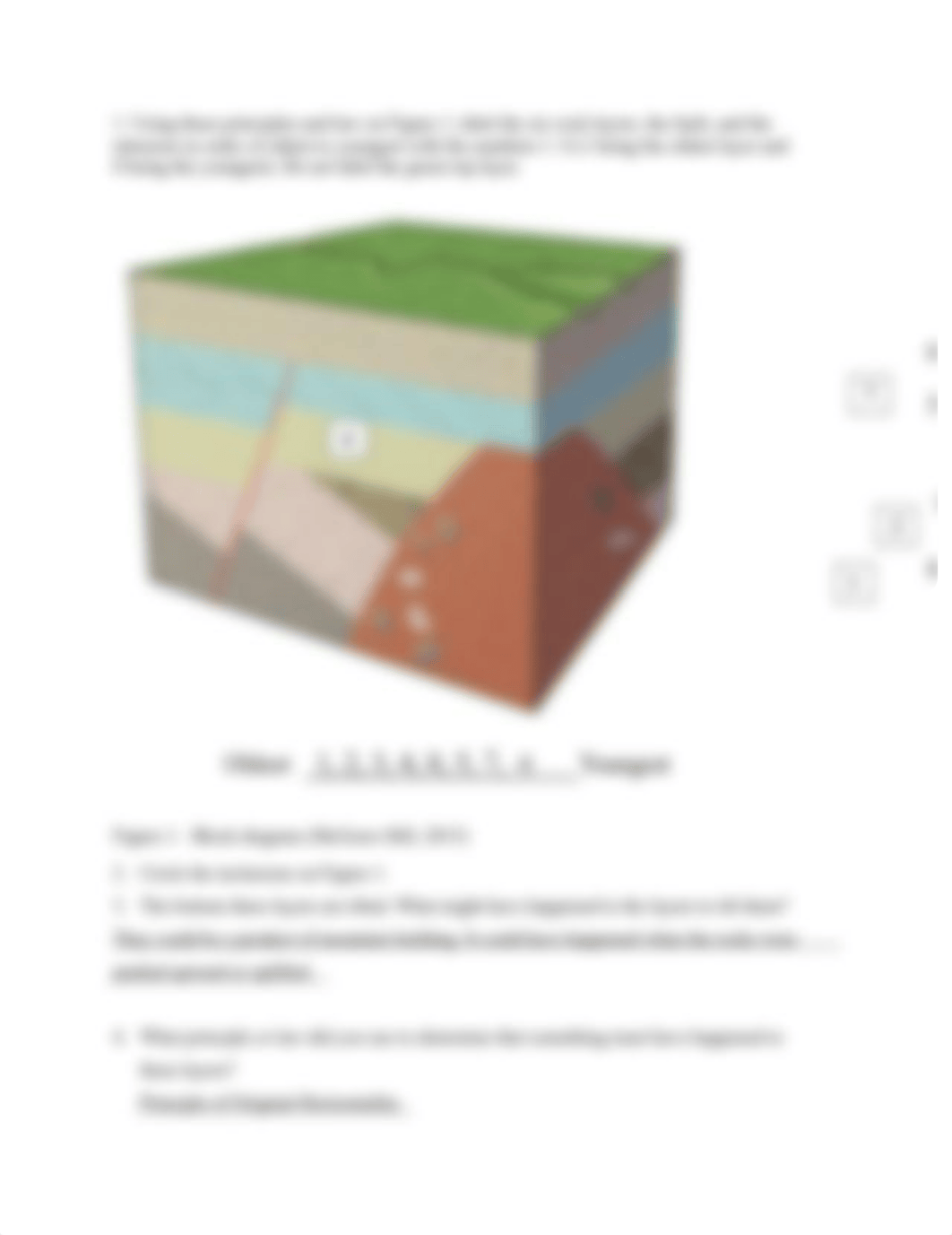 Lab 6 Geologic Age JDJ revised (3).docx_dlfndja3ept_page2