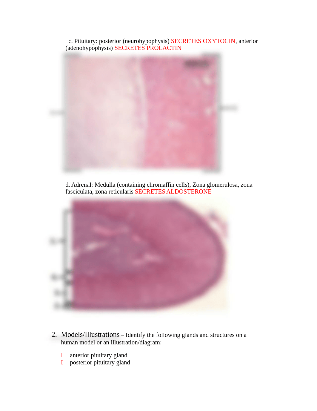 202 STUDY GUIDE PART I.doc_dlfnm255ijm_page2