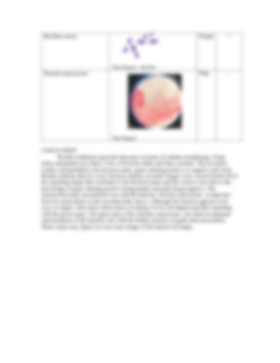 Lab Report - Light Microscope and Gram Staining.pdf_dlfpa13rdng_page2