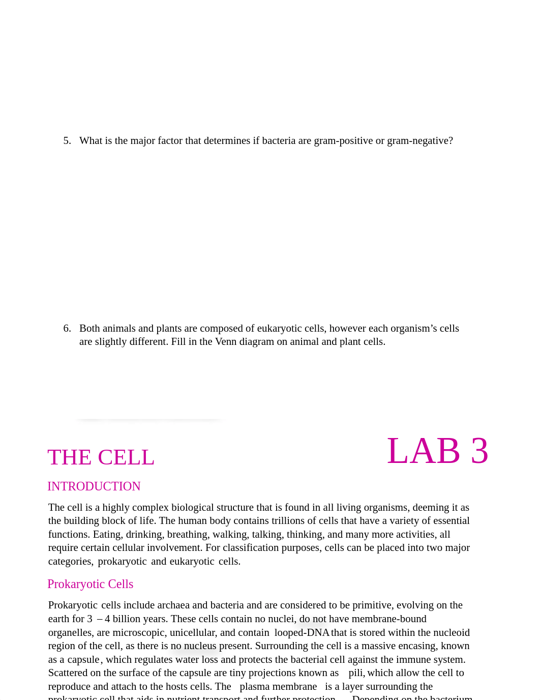 Lab 3. The cell. Post Lab questions.pdf_dlfrxavu3qn_page2