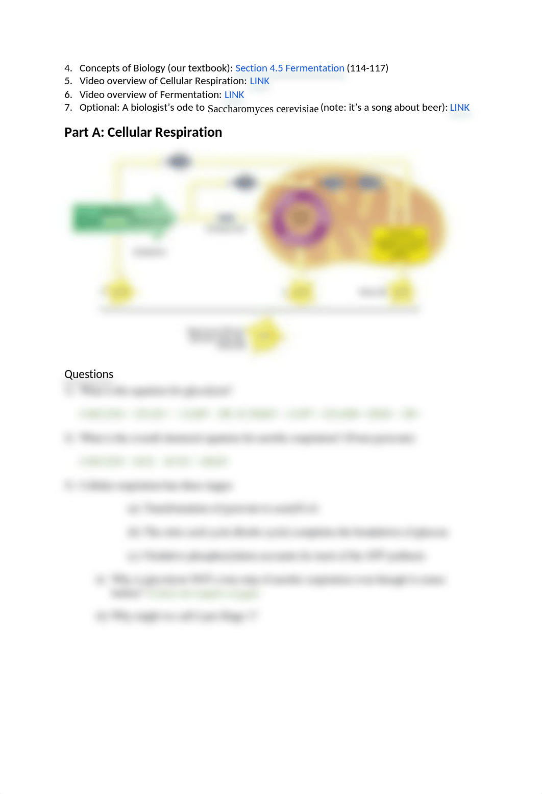 Bio160_F21_LM5_Fermentation_corrected.docx_dlg3bp396gn_page2