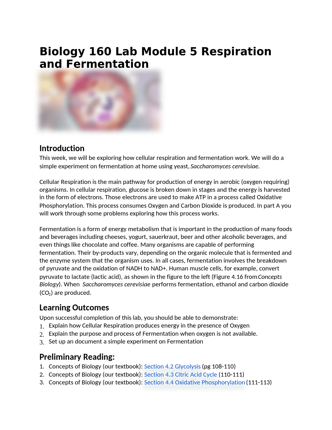 Bio160_F21_LM5_Fermentation_corrected.docx_dlg3bp396gn_page1