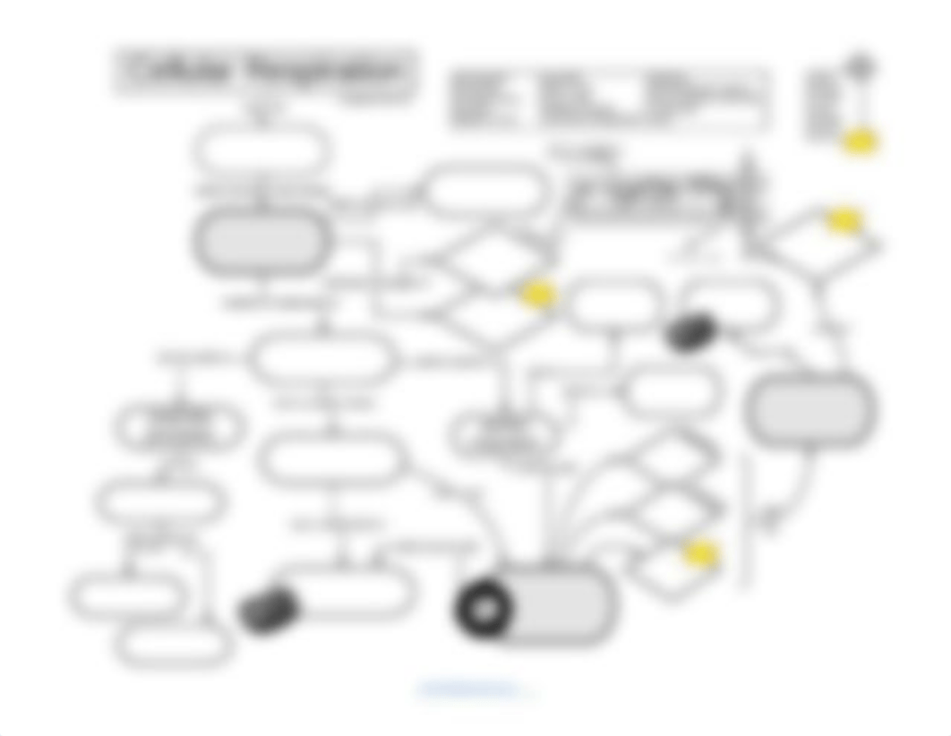 Cellular Respiration Graphic Organizer (1).docx_dlg5otc3kxm_page2