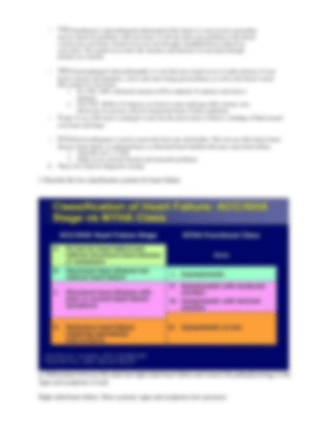 Cardiac Disorders Study Guide and Note Outline.docx_dlg5s4uhaxb_page3