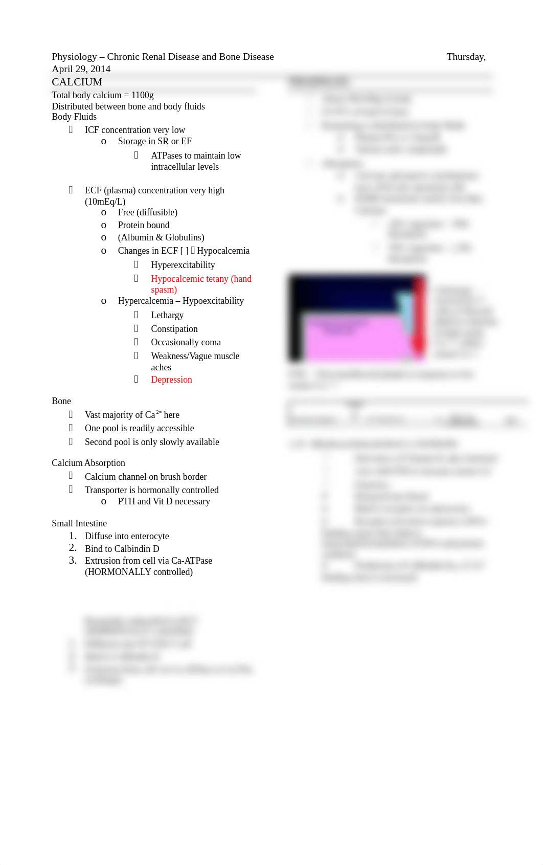 04.29.14 Chronic Renal Disease and Bone Disease_dlgcc2gi9t7_page1