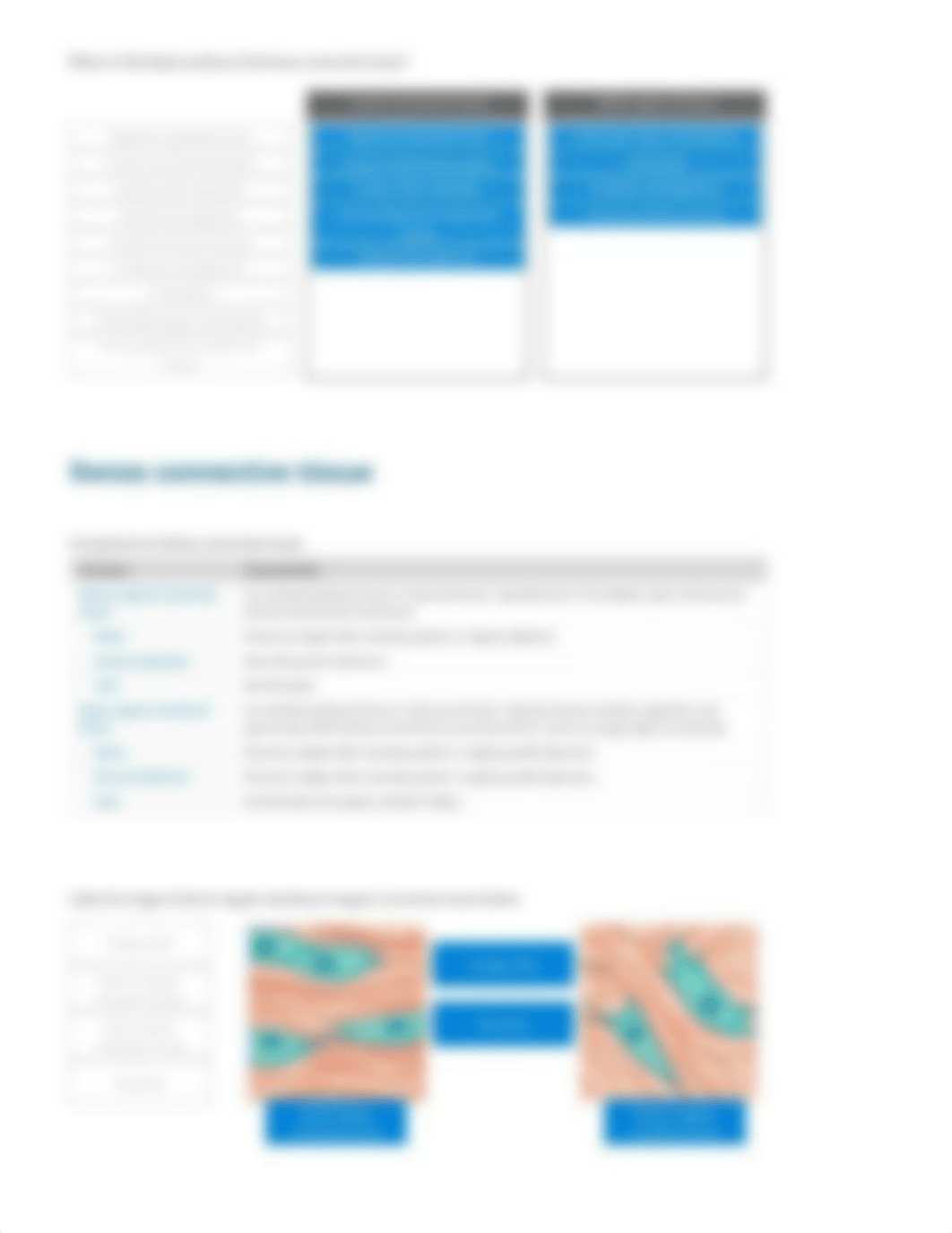 Connective Tissue Histology - Lab report (1) (1).pdf_dlggz43jtkc_page4