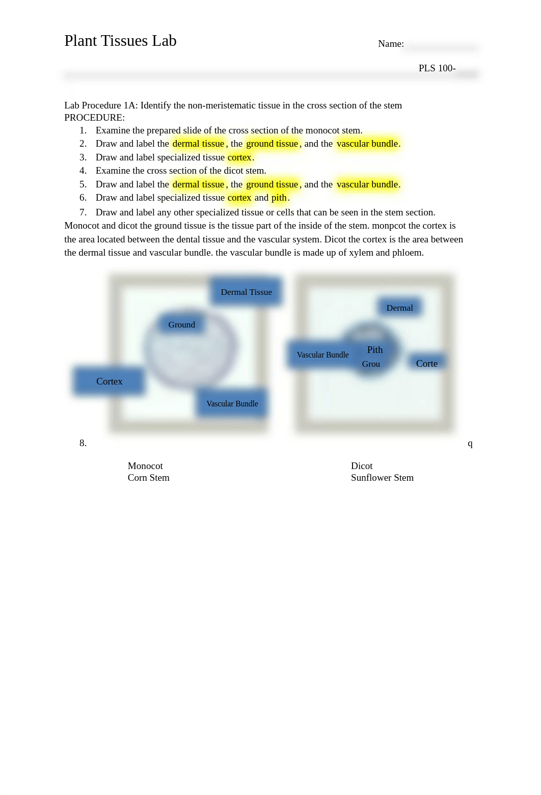 Tissues+Lab.docx_dlgkc573ssn_page1