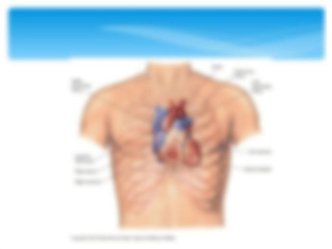 NU650 CARDIAC-PV.ppt_dlgmz0goo8f_page3