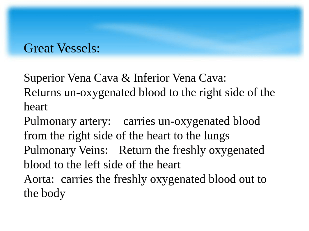 NU650 CARDIAC-PV.ppt_dlgmz0goo8f_page4