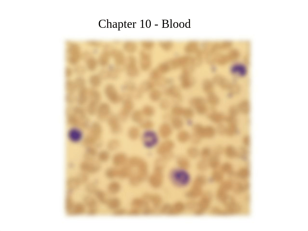 BIOL2404 - Chapter 10 - Blood.pdf_dlgqvsuxwig_page1