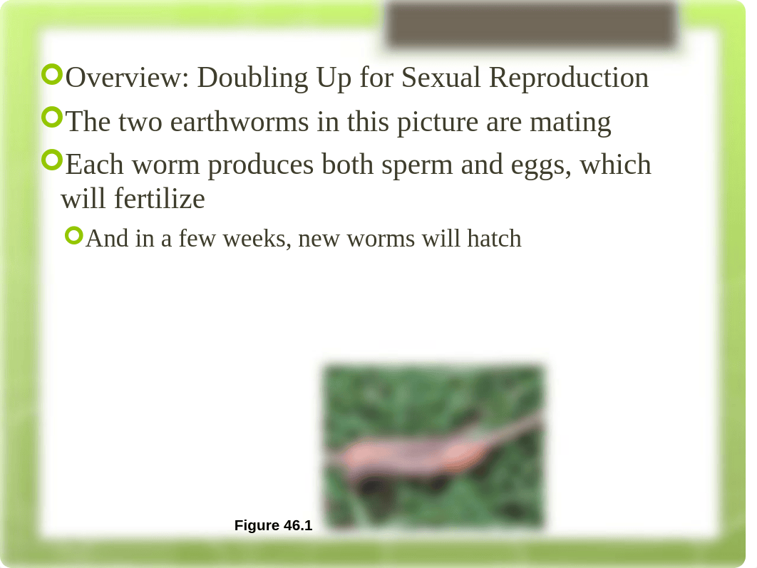 Chapter 46. Animal Reproduction_dlgu9ehyowo_page2