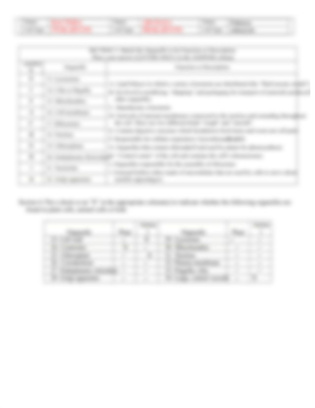 Cells and Organelles Worksheet-1.docx_dlgy59385rx_page2