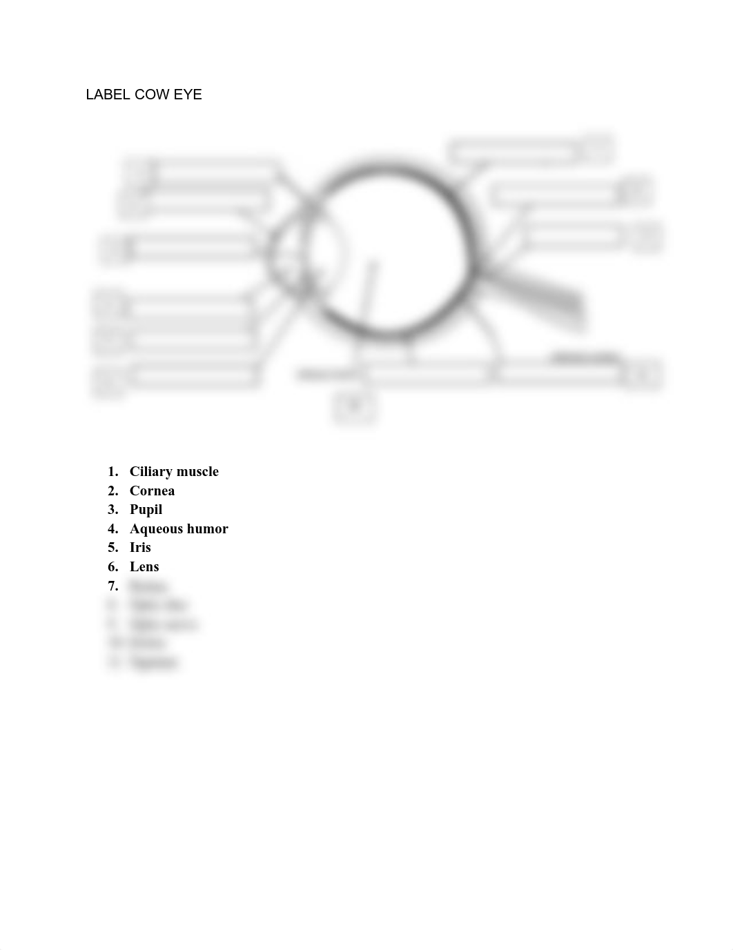 Cow Eye labeling.pdf_dlgz8yzlyer_page1