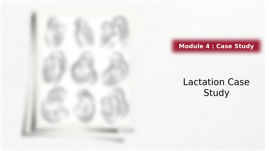 M4_Lactation Case Study.pptx_dlh63orqsma_page1