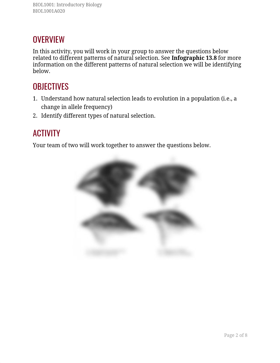 Patterns of natural selection example.pdf_dlhn5u1z7sl_page2