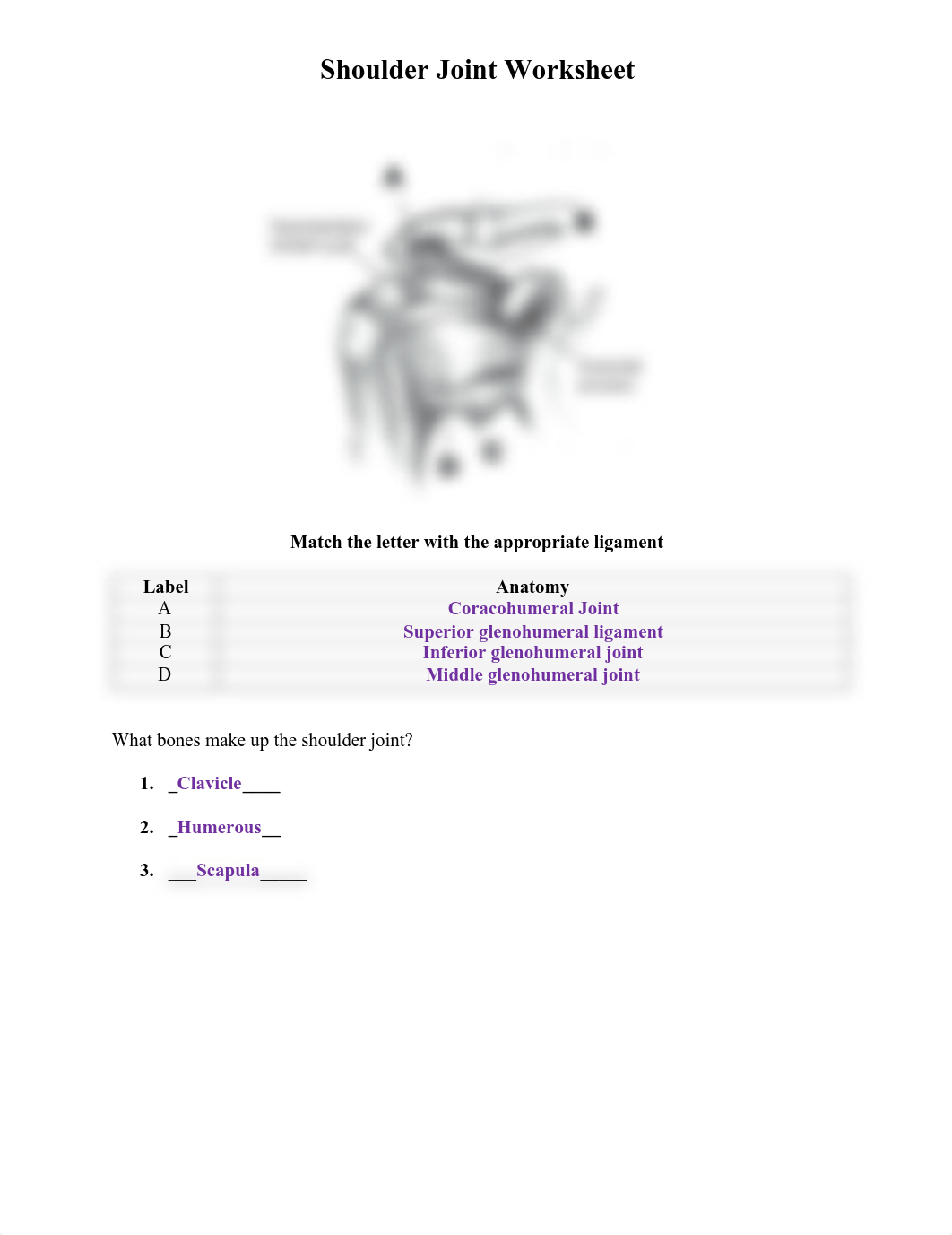 Shoulder Joint Worksheet.pdf_dlhxufrskf6_page1