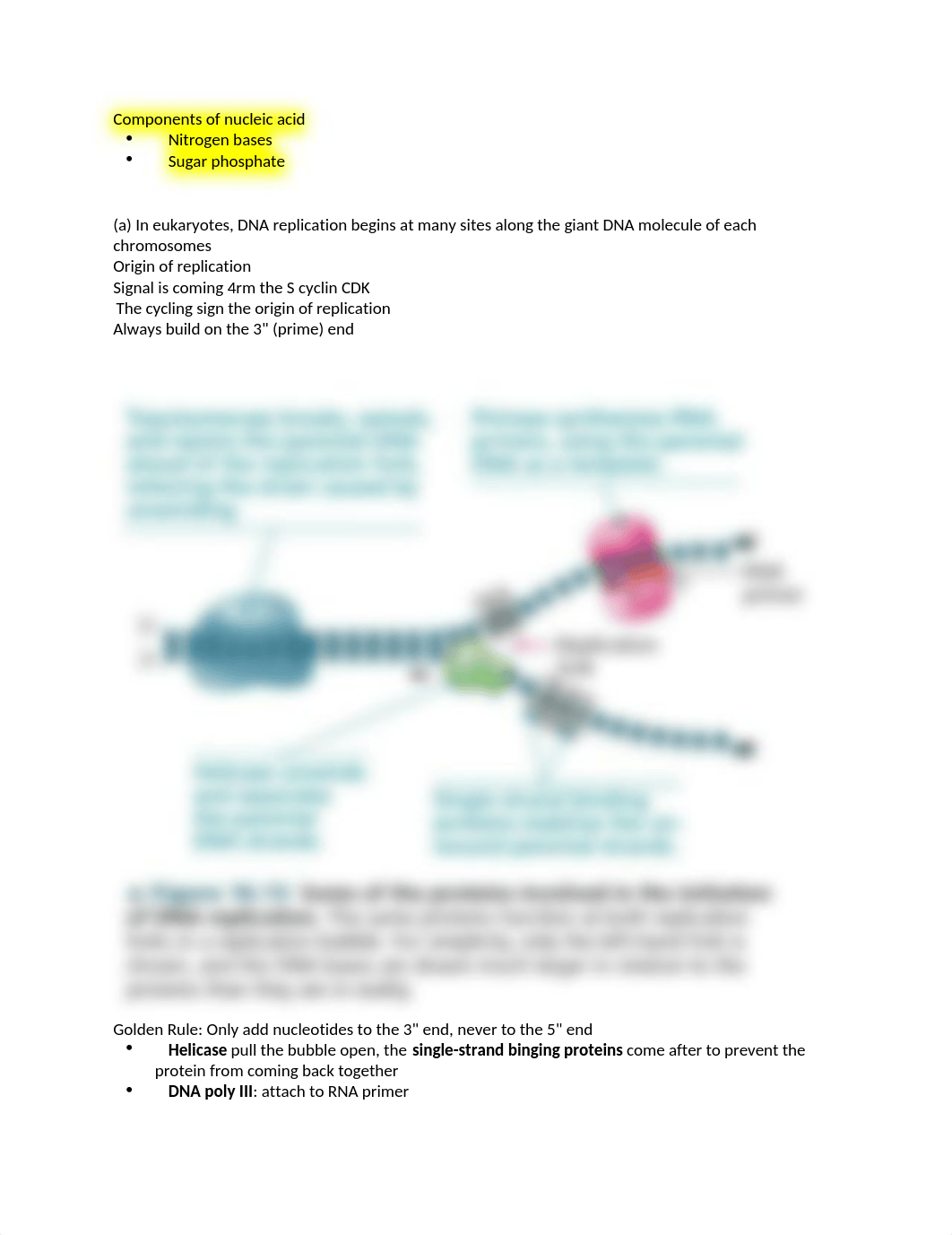 BIO222 DNA Replication Process Summary.docx_dli2o5plna8_page1