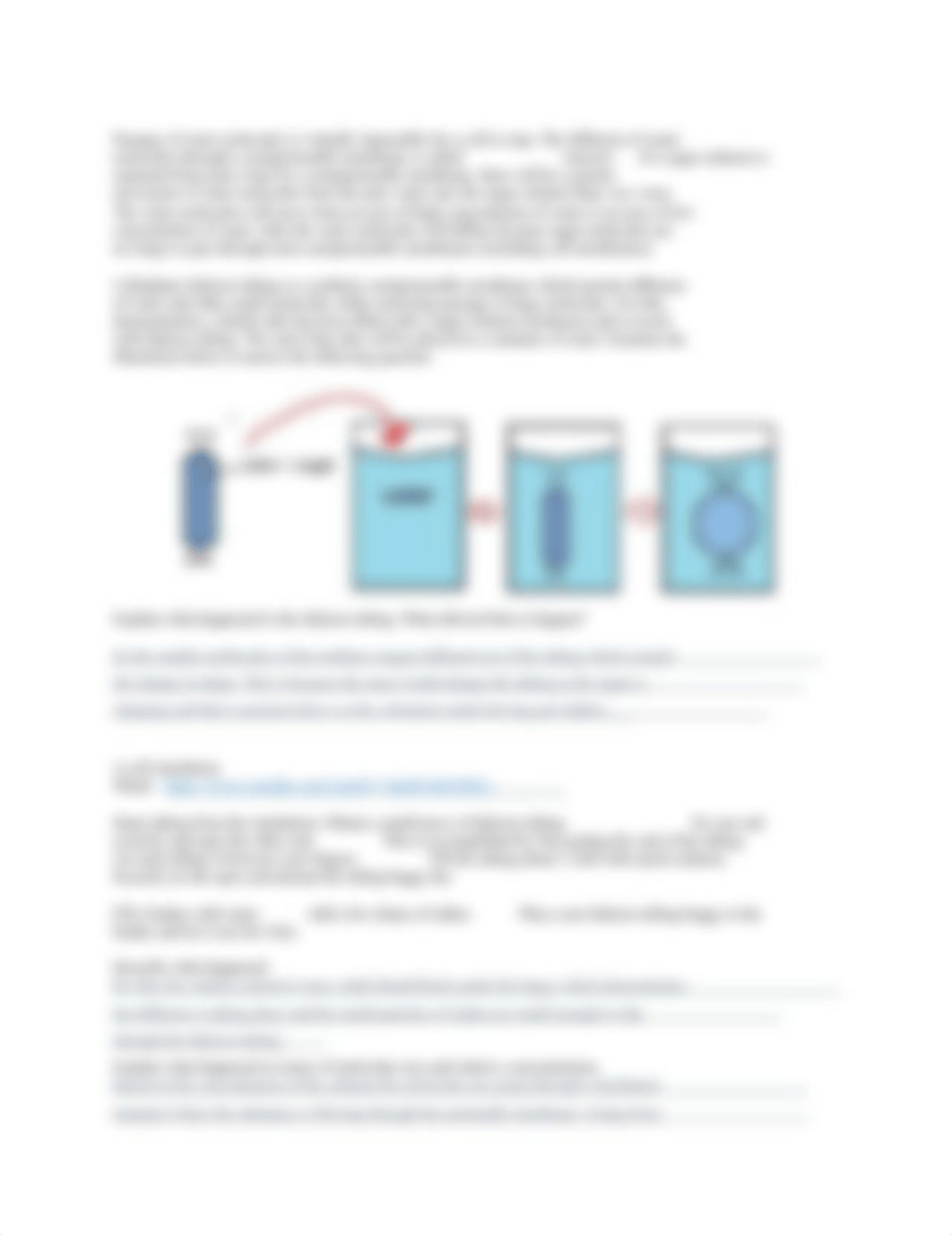 Lab 3- Diffusion & Osmosis (Virtual edition)_1921331588 (2).docx_dliaczed90w_page2