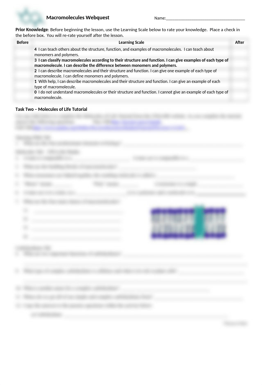 Macromolecules WebQuest Student Handout (1).docx_dlibe346r6a_page1