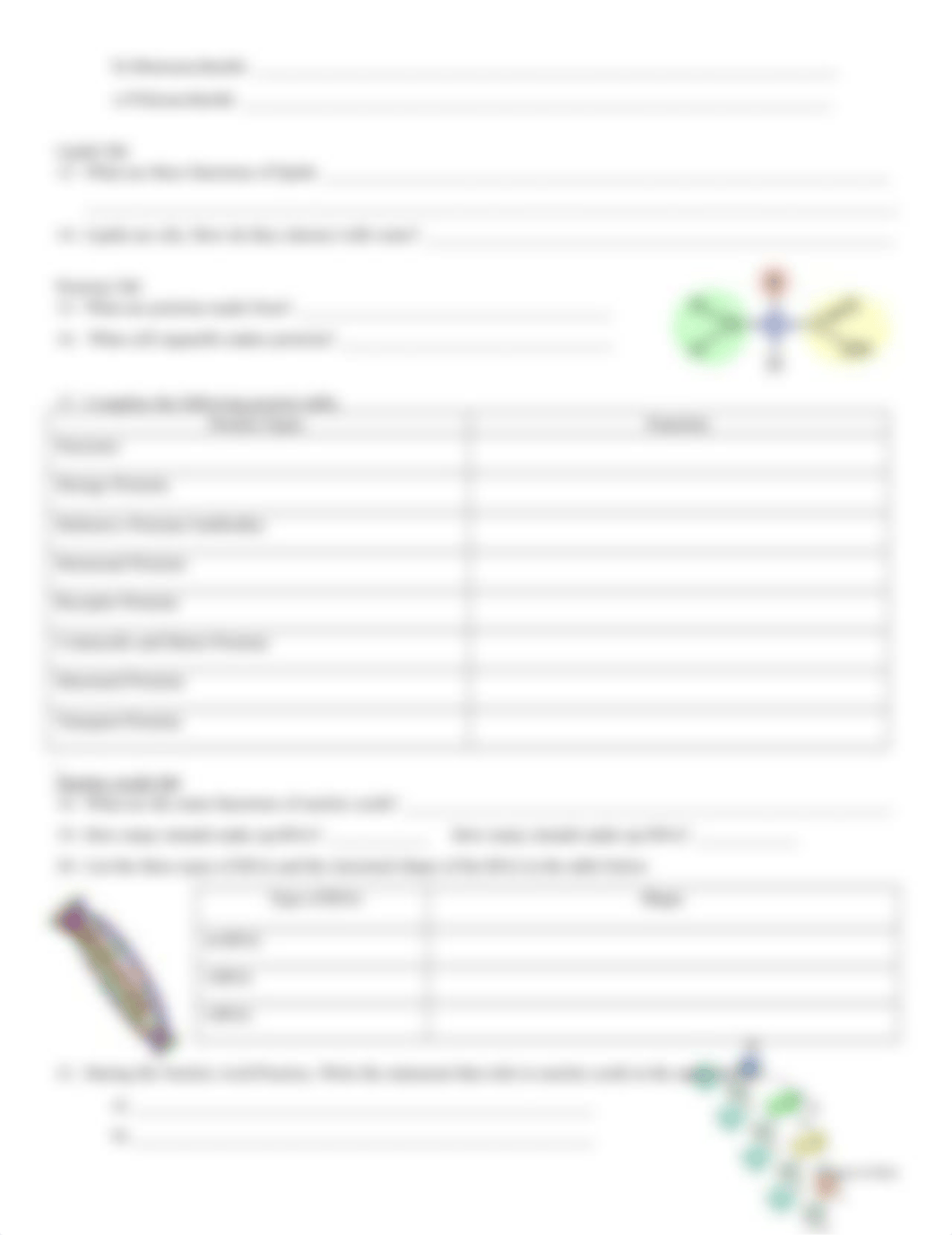 Macromolecules WebQuest Student Handout (1).docx_dlibe346r6a_page2