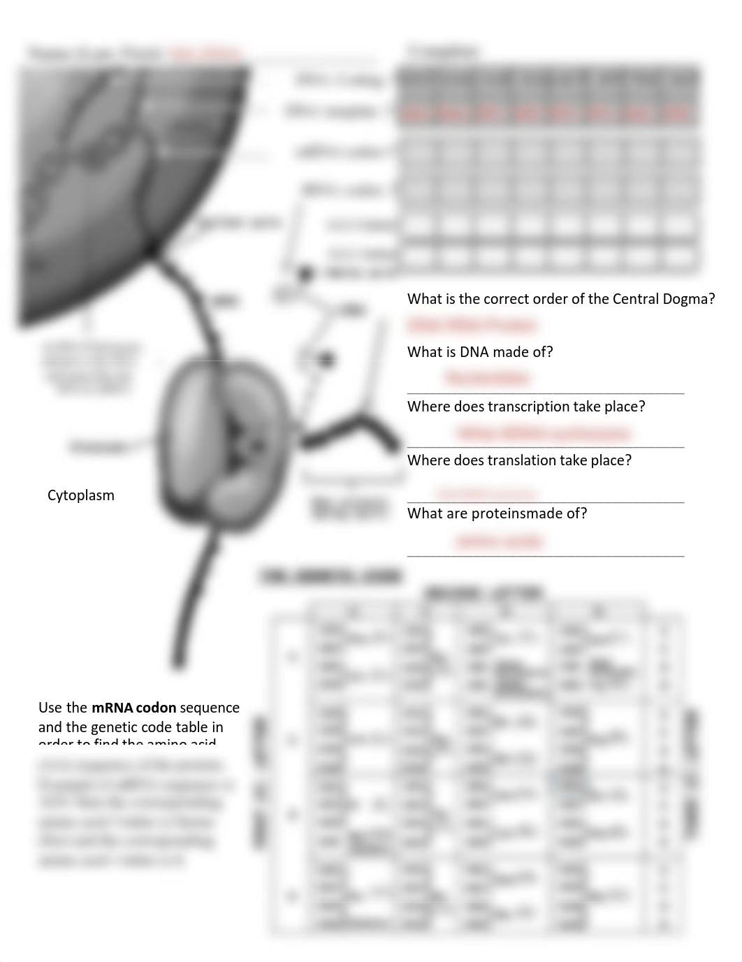 BIO 340 activity 1.pdf_dlic3yfumjt_page1