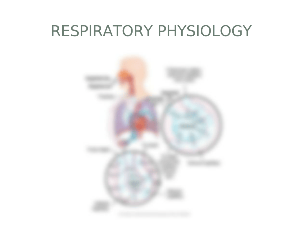 Oxygenation Student 18.pptx_dlieeto9x6h_page3