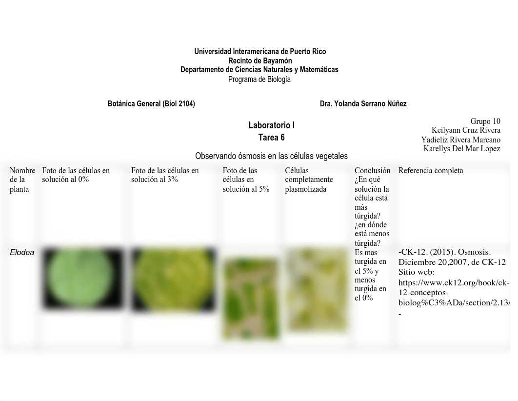 Laboratorio 1 Tarea #6 Tabla Observando osmosis en las celulas vegetales (1) (1).pdf_dlii91bslou_page1