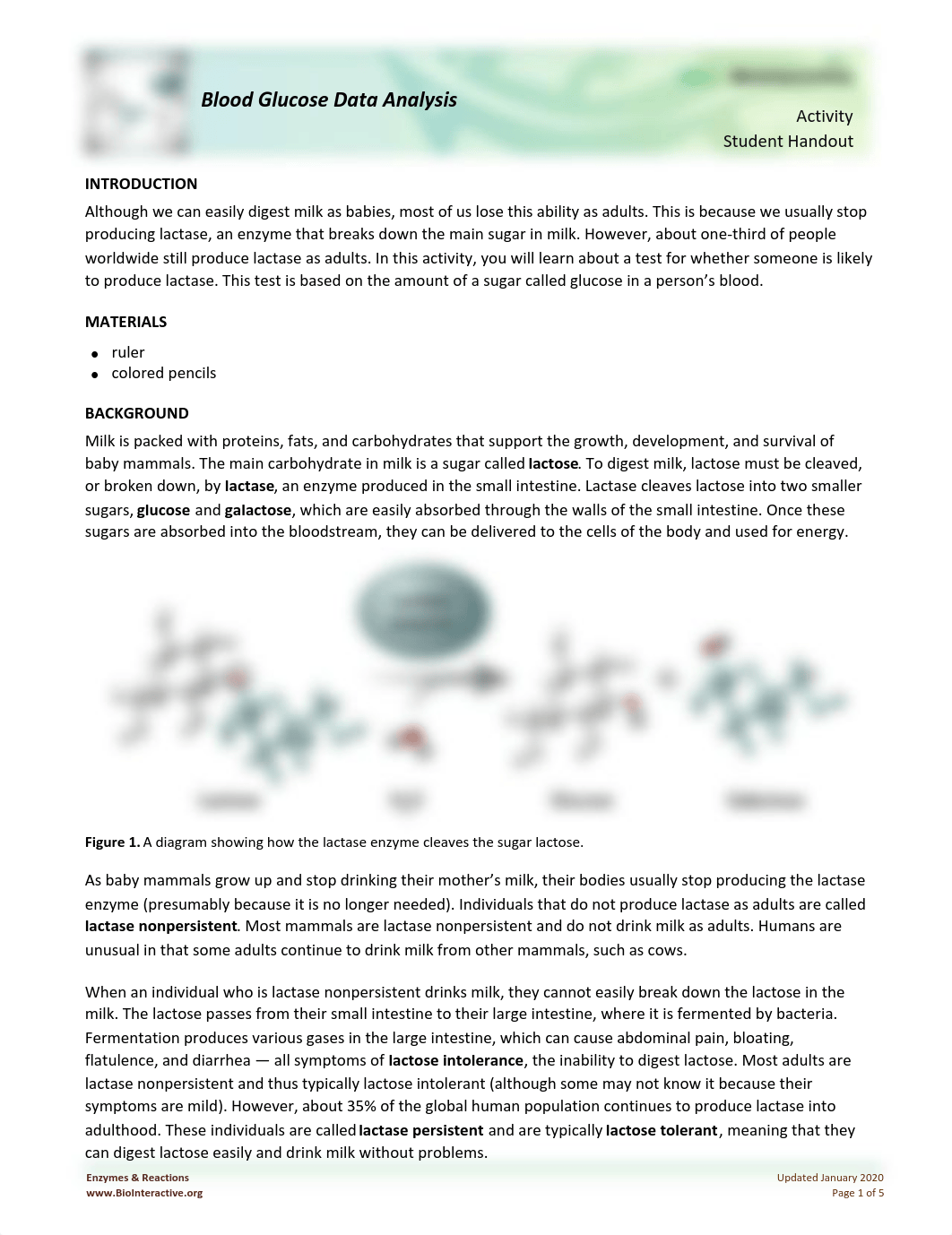 Blood Glucose Analysis 2.pdf_dlik2jwkf89_page1