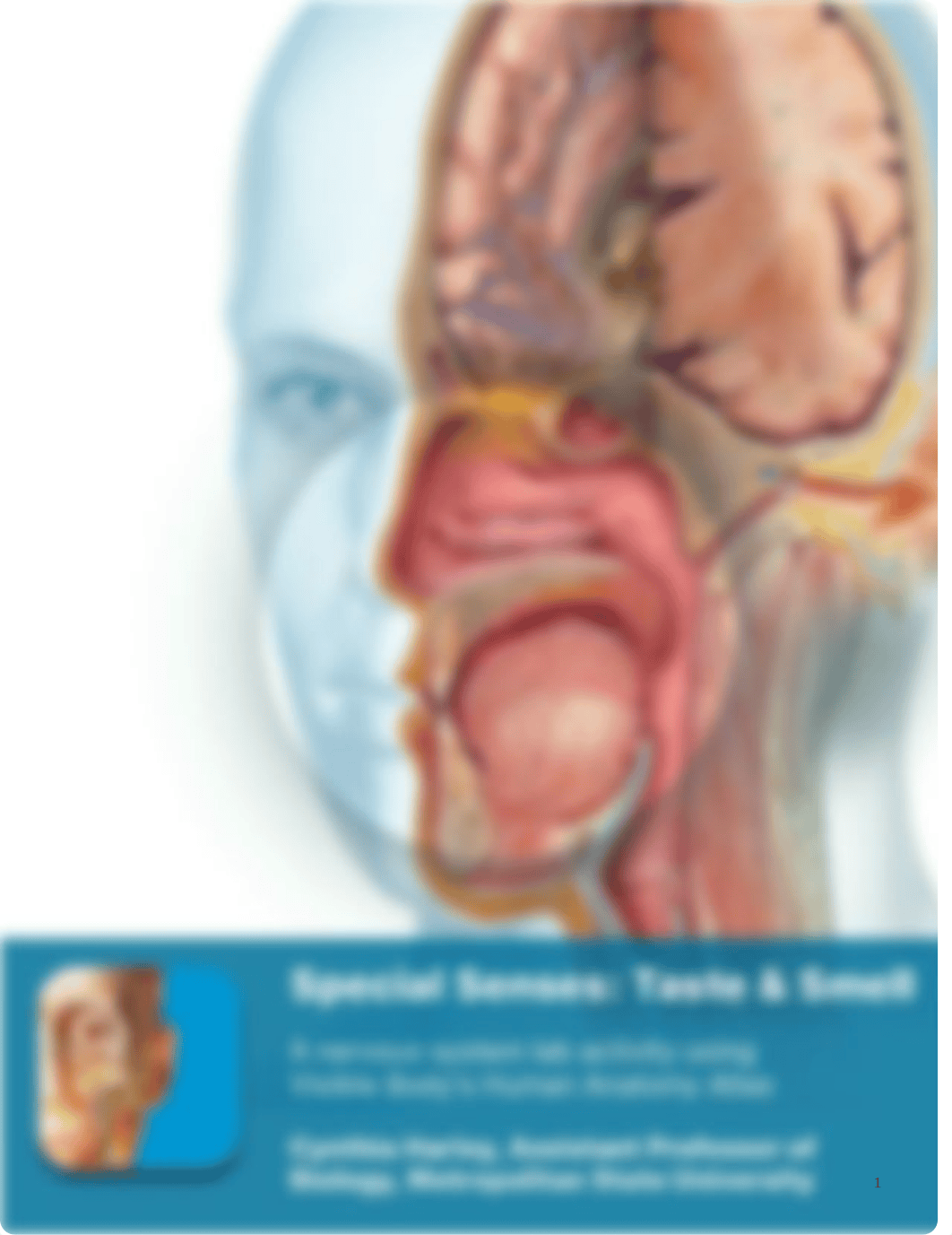 lab manual_senses taste smell_atlas.pdf_dlillhlrkor_page1