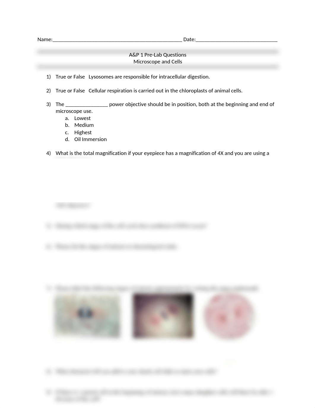 A&P 1 Microscope and Cells Pre-Lab III Questions.docx_dlim21uw8kg_page1