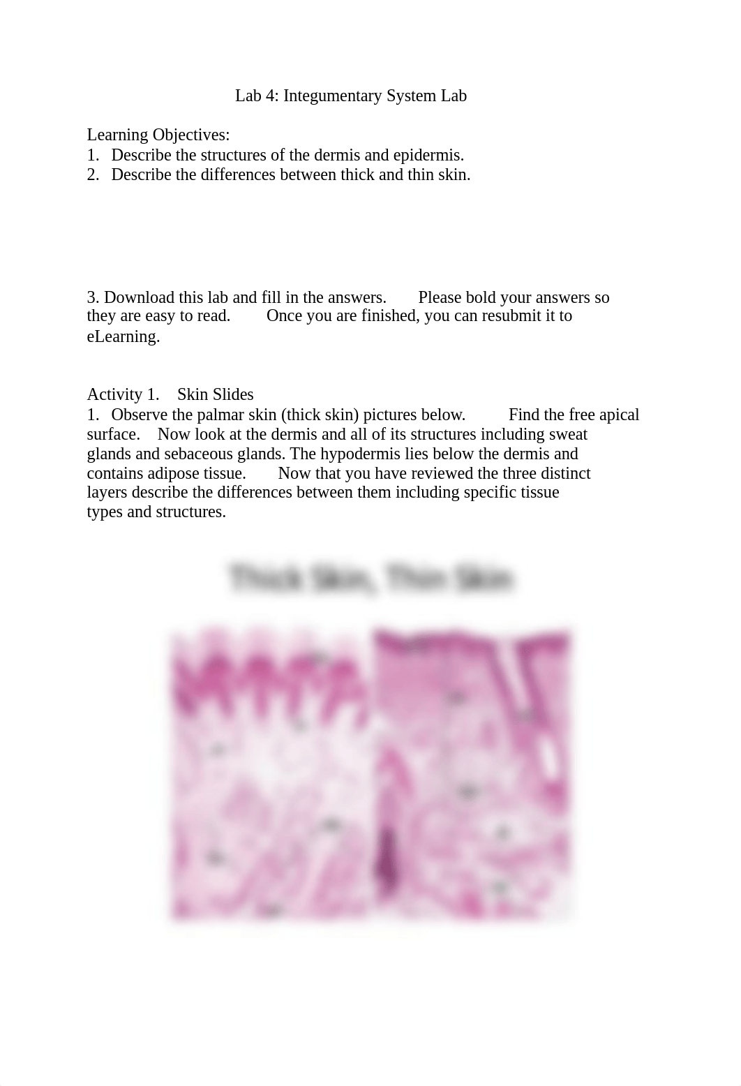 Lab 4 Skin.pdf_dlix3lh8z89_page1