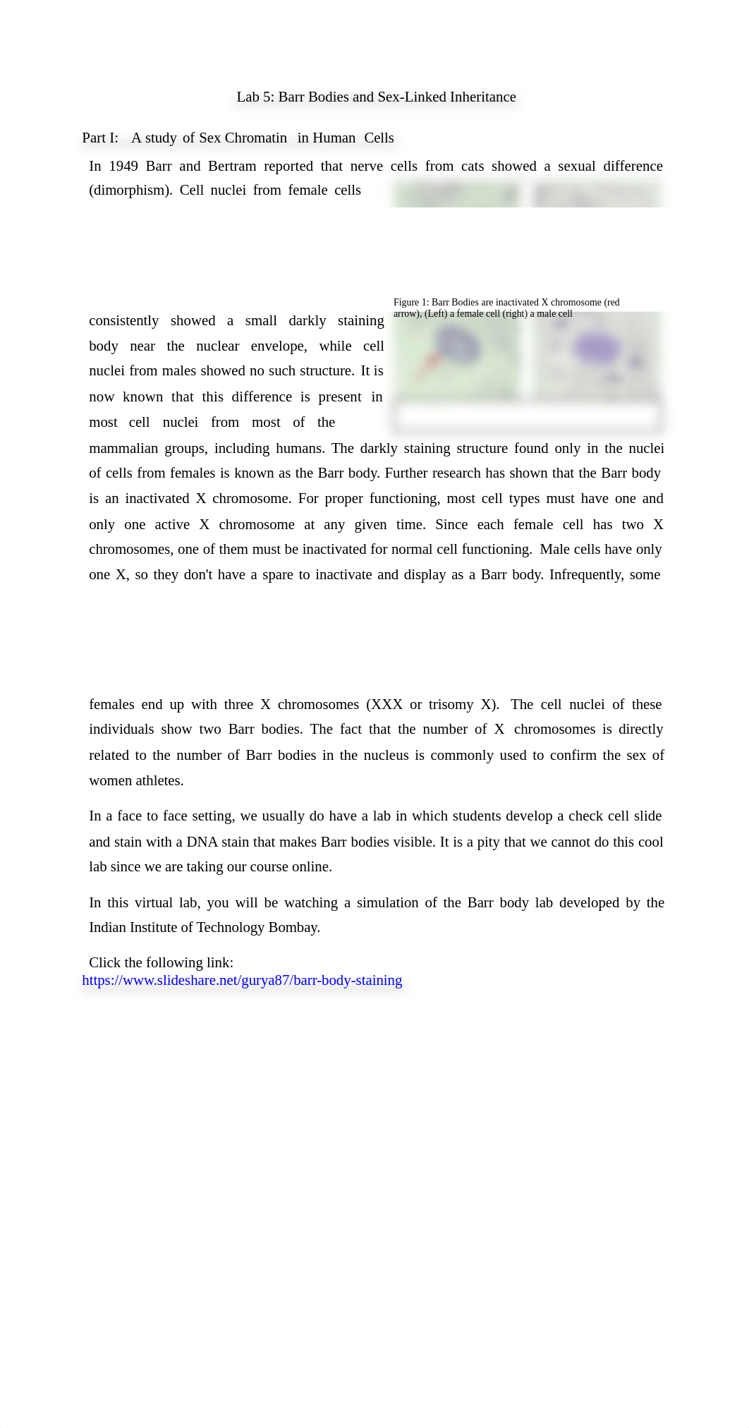 Lab 5.docx_dlj0ppz619z_page1