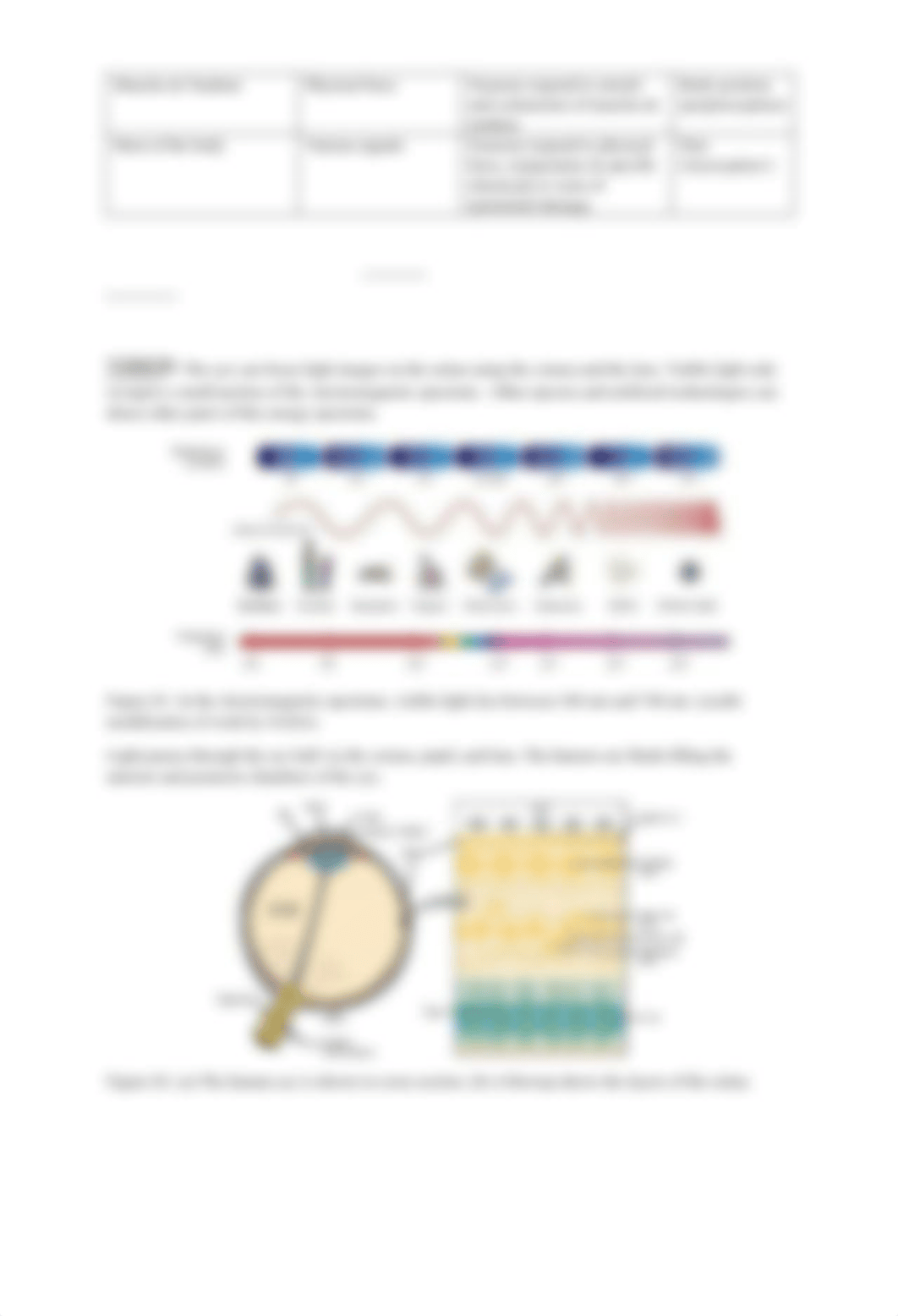 Week 1 Lab Sensory System BIO213 LR FLOTOA.docx_dlj16jpyy6s_page2