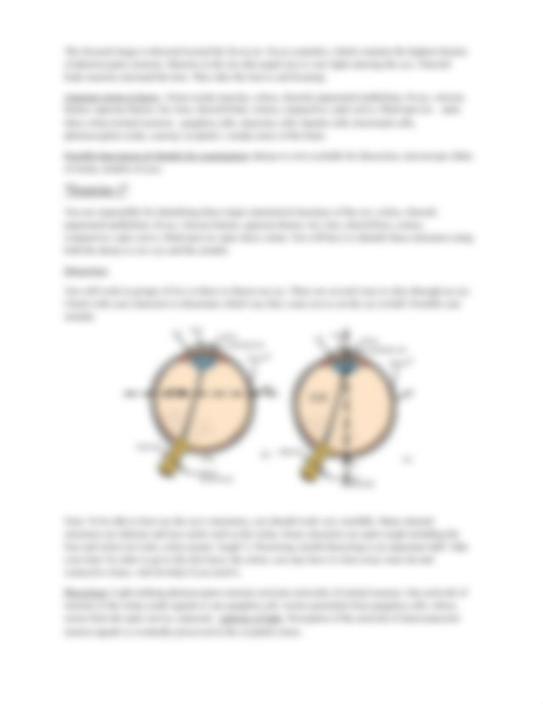 Week 1 Lab Sensory System BIO213 LR FLOTOA.docx_dlj16jpyy6s_page3