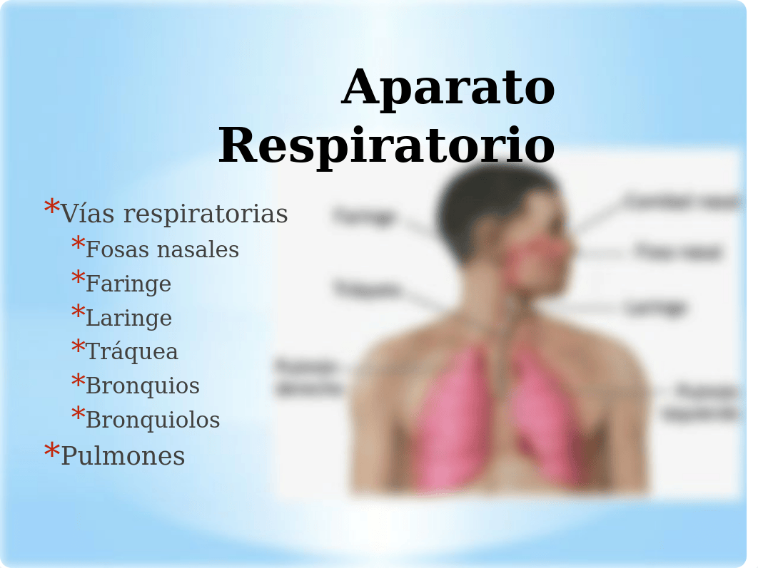 POWER POINT SISTEMA RESPIRATORIO.pptx_dlj7b6tmmnx_page3