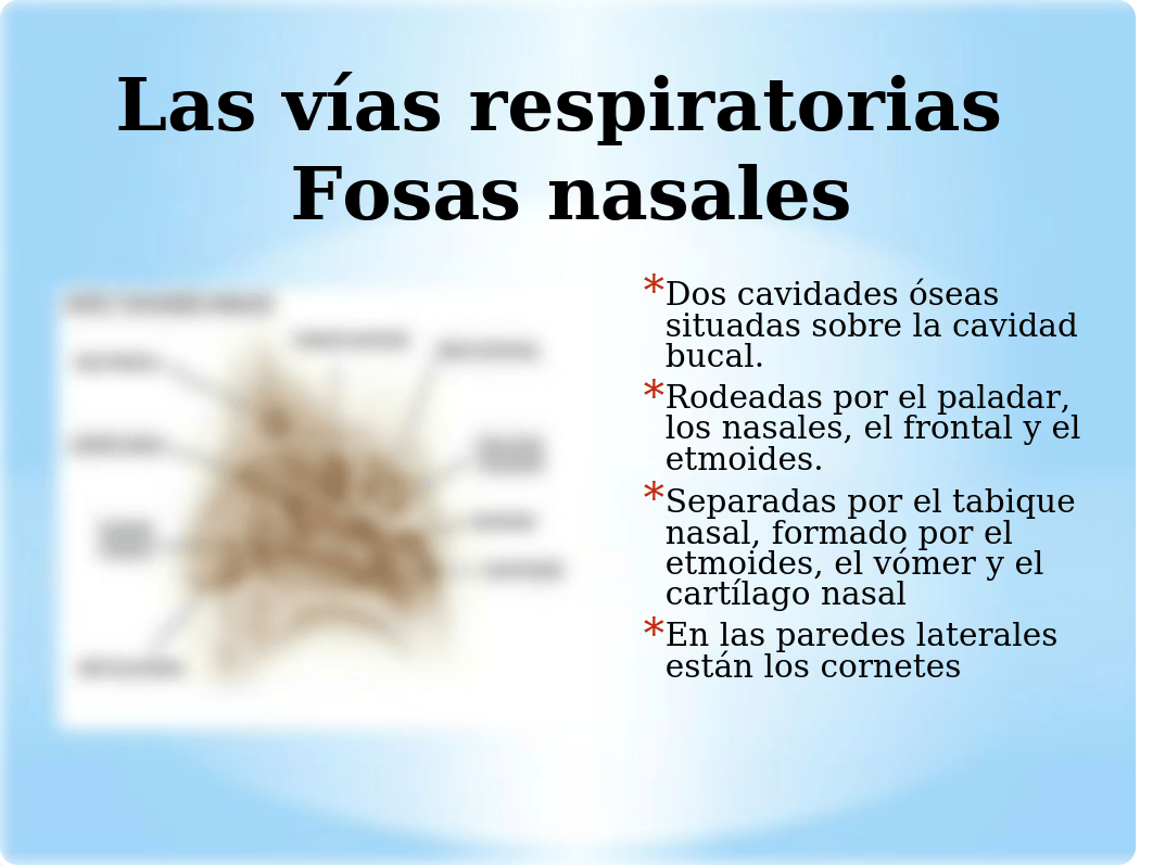 POWER POINT SISTEMA RESPIRATORIO.pptx_dlj7b6tmmnx_page5