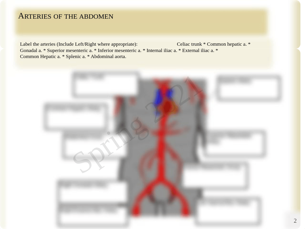 Anatomy Ch. 19.pdf_dljig1sku19_page2