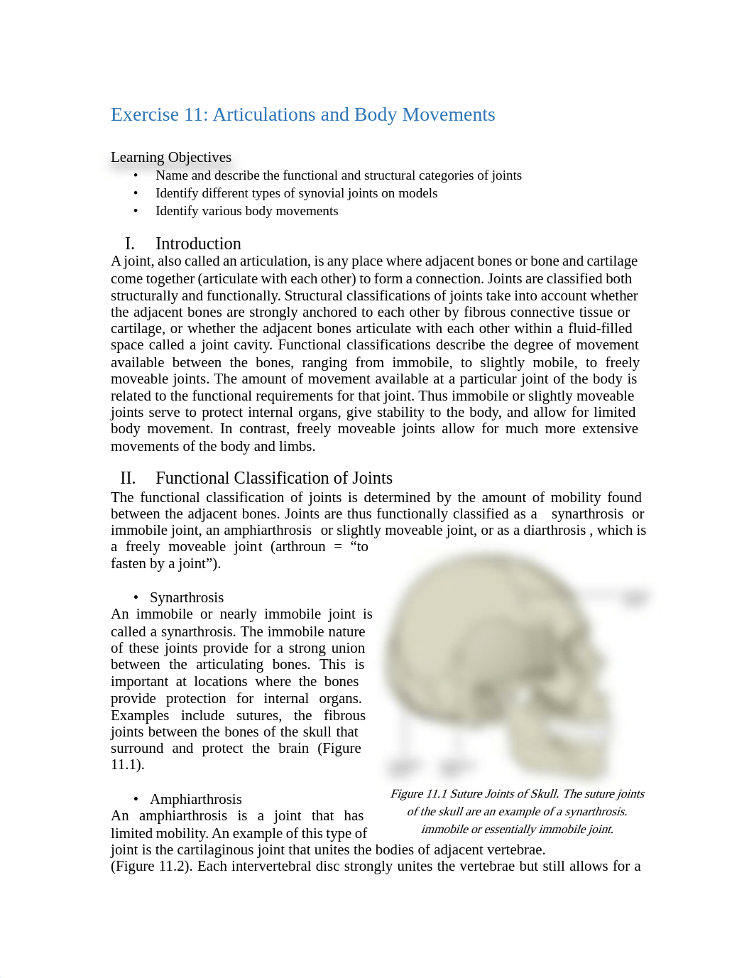 Exercise 11.pdf_dlk1wxxb3au_page1