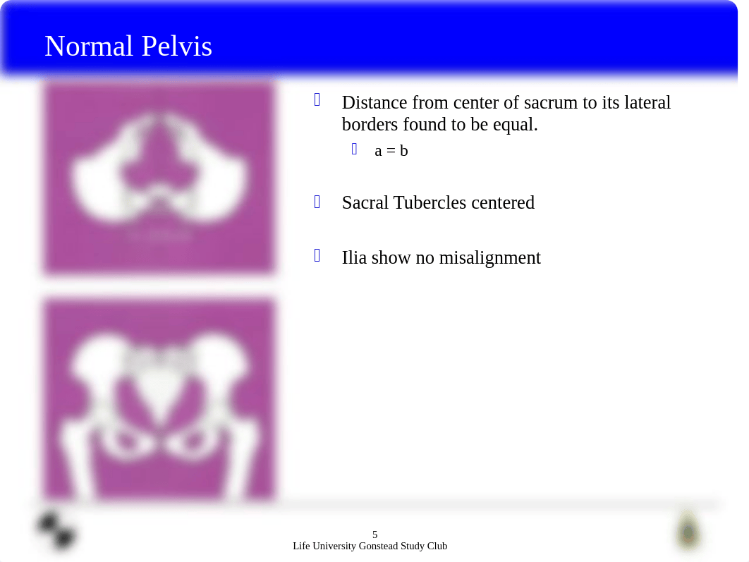 4877415-Spondylolisthesis.pdf_dlk3vc1dxqi_page5