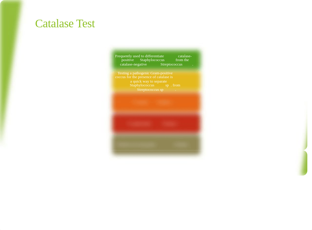 Catalase and Coagulase.pptx_dlkasafzvve_page4