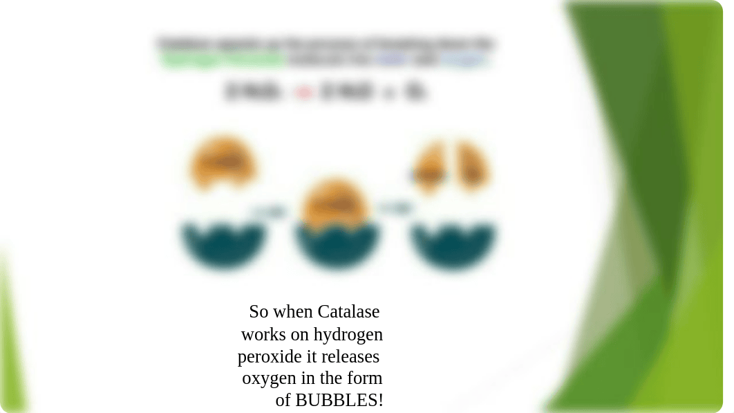 Catalase and Coagulase.pptx_dlkasafzvve_page3