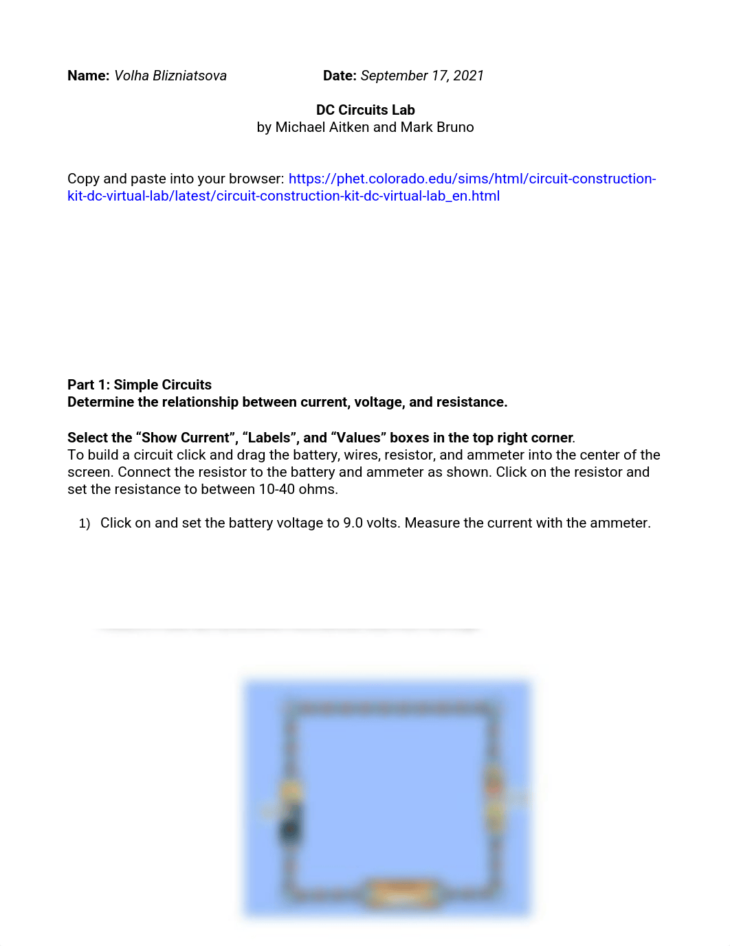 Lab Circuits.pdf_dlkc550cb0y_page1